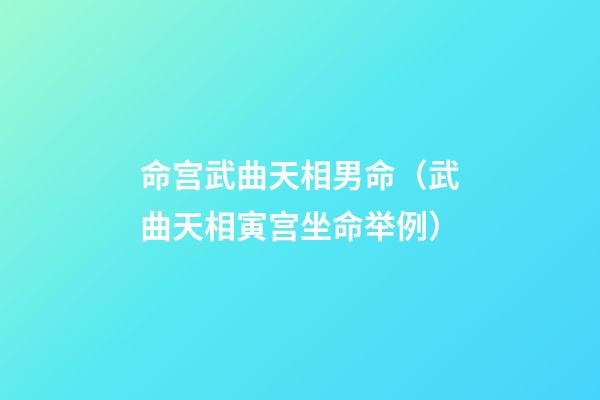 命宫武曲天相男命（武曲天相寅宫坐命举例）-第1张-观点-玄机派