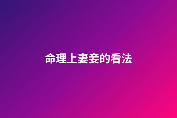 命理上妻妾的看法