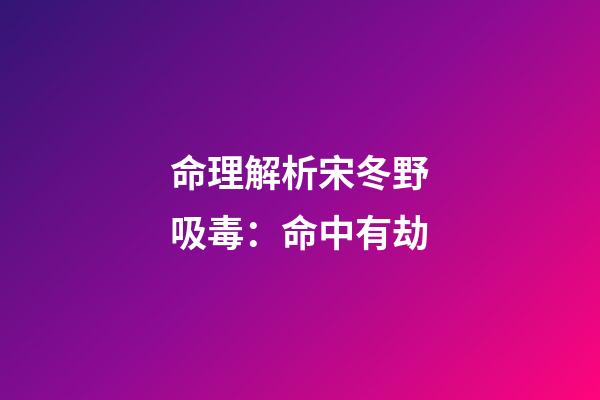 命理解析宋冬野吸毒：命中有劫