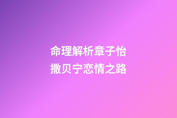 命理解析章子怡撒贝宁恋情之路