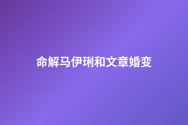 命解马伊琍和文章婚变