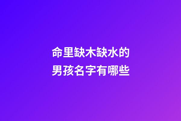 命里缺木缺水的男孩名字有哪些(缺木水的男孩名字大全集)-第1张-男孩起名-玄机派