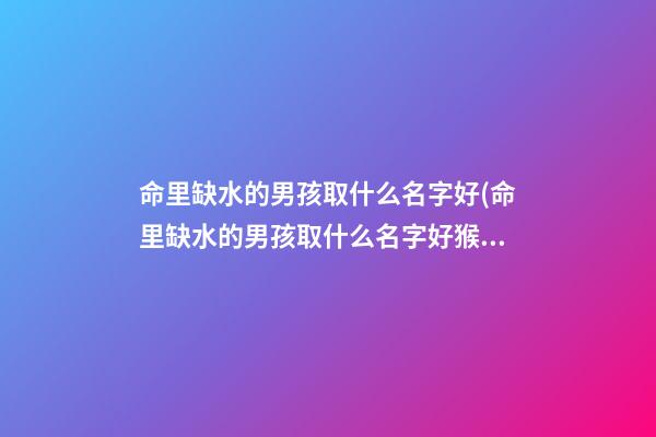 命里缺水的男孩取什么名字好(命里缺水的男孩取什么名字好猴年)