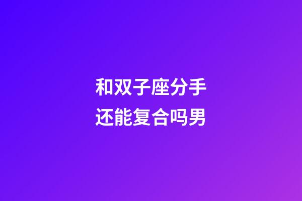 和双子座分手还能复合吗男-第1张-星座运势-玄机派
