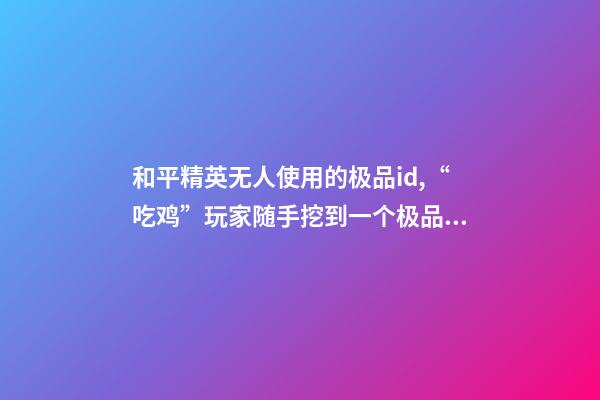 和平精英无人使用的极品id,“吃鸡”玩家随手挖到一个极品2字ID-第1张-观点-玄机派