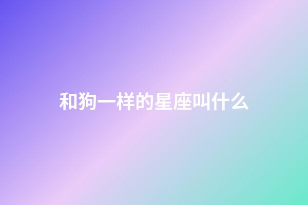 和狗一样的星座叫什么-第1张-星座运势-玄机派