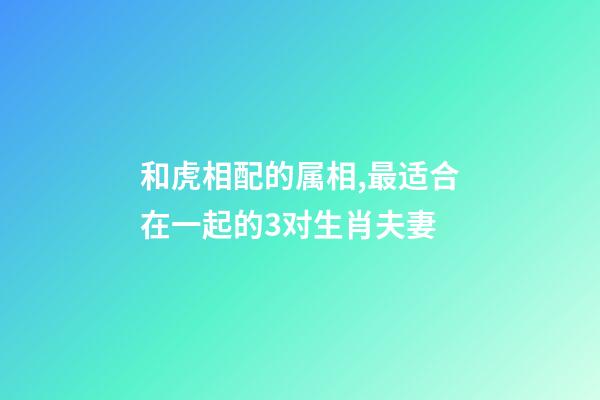和虎相配的属相,最适合在一起的3对生肖夫妻-第1张-观点-玄机派