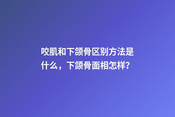 咬肌和下颌骨区别方法是什么，下颌骨面相怎样？