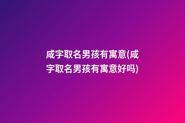 咸字取名男孩有寓意(咸字取名男孩有寓意好吗)