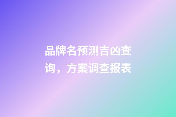 品牌名预测吉凶查询，方案调查报表-第1张-商标起名-玄机派