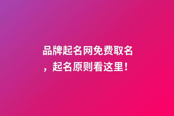 品牌起名网免费取名，起名原则看这里！-第1张-商标起名-玄机派