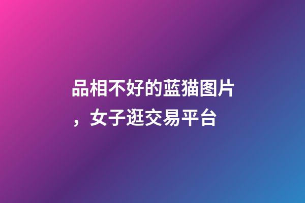 品相不好的蓝猫图片，女子逛交易平台-第1张-观点-玄机派