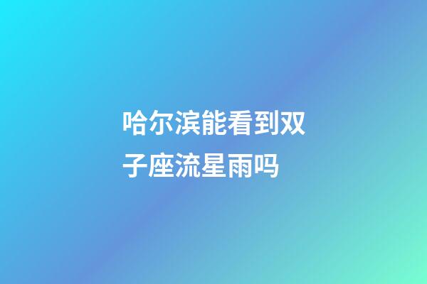 哈尔滨能看到双子座流星雨吗-第1张-星座运势-玄机派