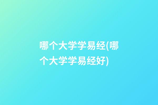 哪个大学学易经(哪个大学学易经好)
