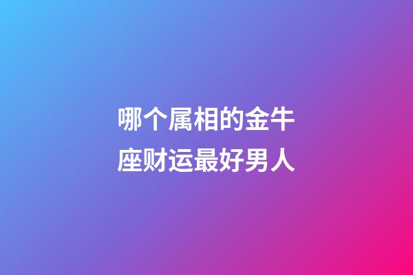 哪个属相的金牛座财运最好男人-第1张-星座运势-玄机派