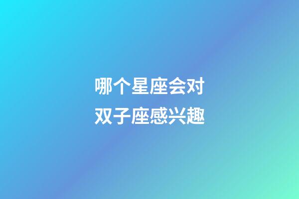 哪个星座会对双子座感兴趣-第1张-星座运势-玄机派