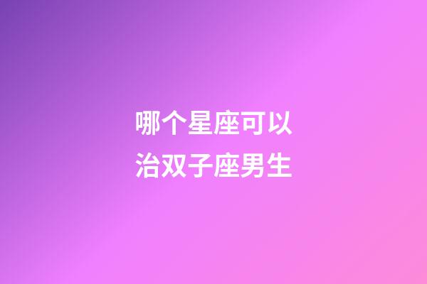 哪个星座可以治双子座男生-第1张-星座运势-玄机派