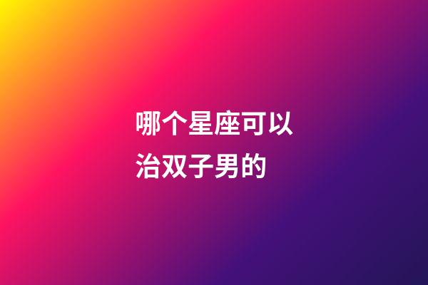 哪个星座可以治双子男的-第1张-星座运势-玄机派
