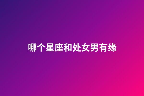 哪个星座和处女男有缘-第1张-星座运势-玄机派