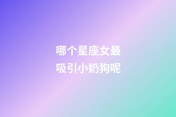 哪个星座女最吸引小奶狗呢-第1张-星座运势-玄机派