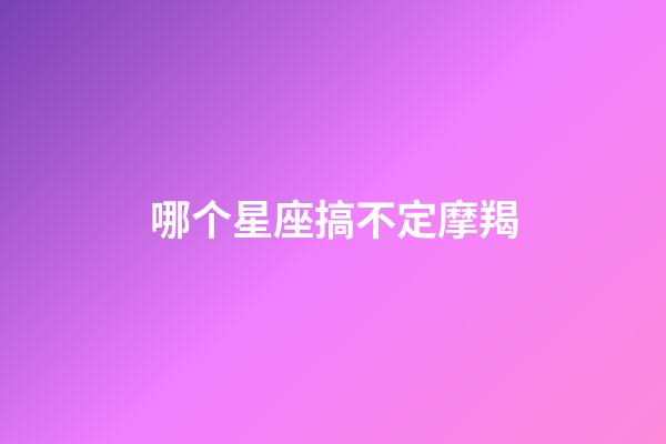 哪个星座搞不定摩羯-第1张-星座运势-玄机派