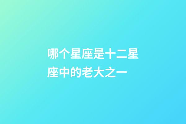 哪个星座是十二星座中的老大之一-第1张-星座运势-玄机派