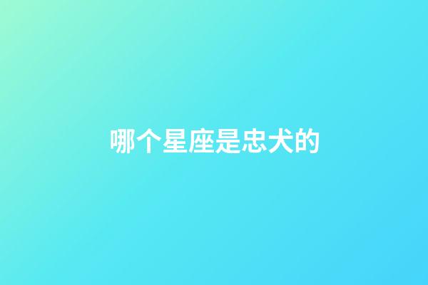 哪个星座是忠犬的-第1张-星座运势-玄机派