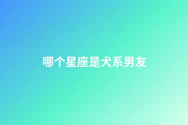 哪个星座是犬系男友-第1张-星座运势-玄机派