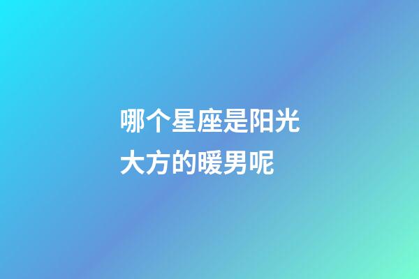 哪个星座是阳光大方的暖男呢