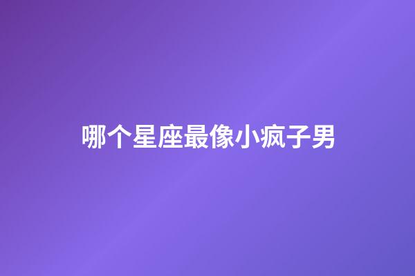 哪个星座最像小疯子男-第1张-星座运势-玄机派