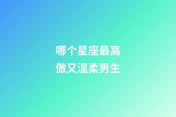 哪个星座最高傲又温柔男生-第1张-星座运势-玄机派