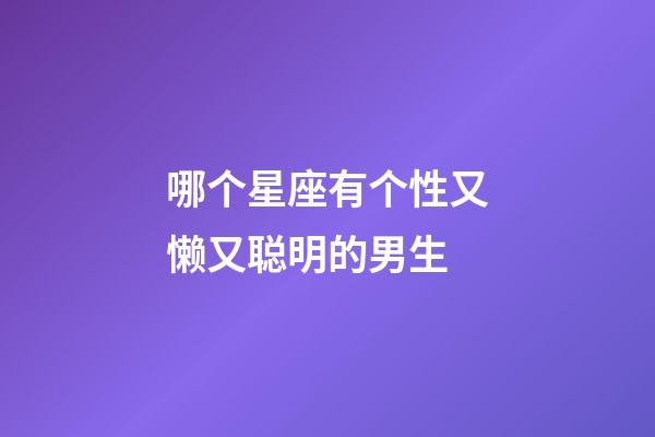 哪个星座有个性又懒又聪明的男生-第1张-星座运势-玄机派