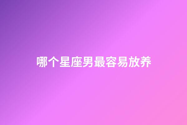 哪个星座男最容易放养-第1张-星座运势-玄机派