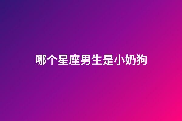 哪个星座男生是小奶狗-第1张-星座运势-玄机派