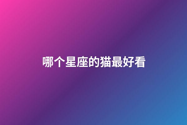 哪个星座的猫最好看-第1张-星座运势-玄机派