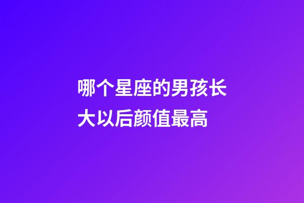 哪个星座的男孩长大以后颜值最高-第1张-星座运势-玄机派