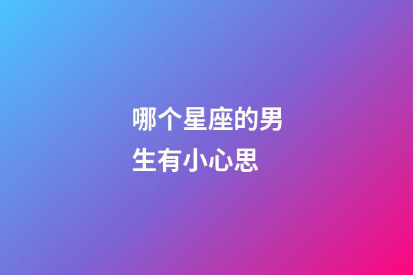 哪个星座的男生有小心思-第1张-星座运势-玄机派