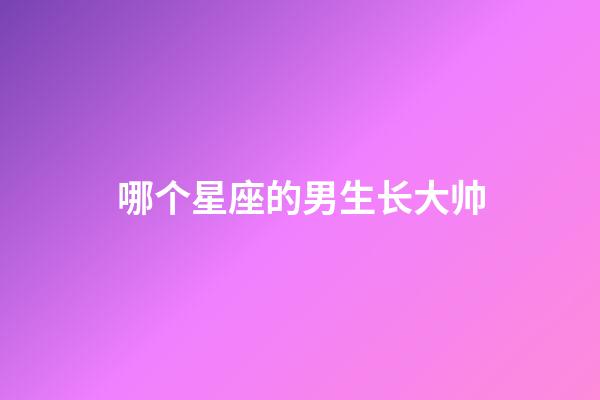 哪个星座的男生长大帅-第1张-星座运势-玄机派