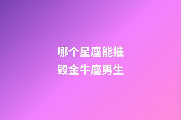 哪个星座能摧毁金牛座男生-第1张-星座运势-玄机派