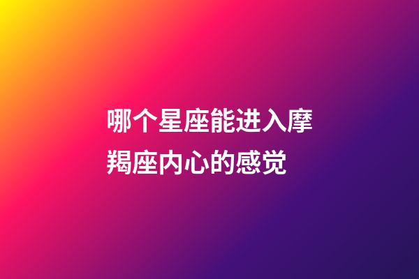 哪个星座能进入摩羯座内心的感觉-第1张-星座运势-玄机派