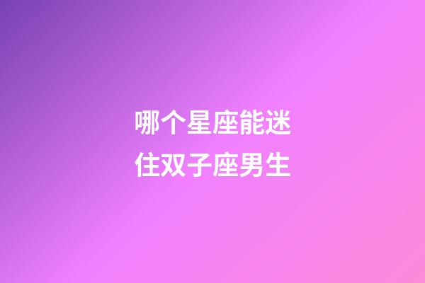 哪个星座能迷住双子座男生-第1张-星座运势-玄机派