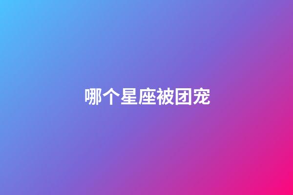 哪个星座被团宠-第1张-星座运势-玄机派