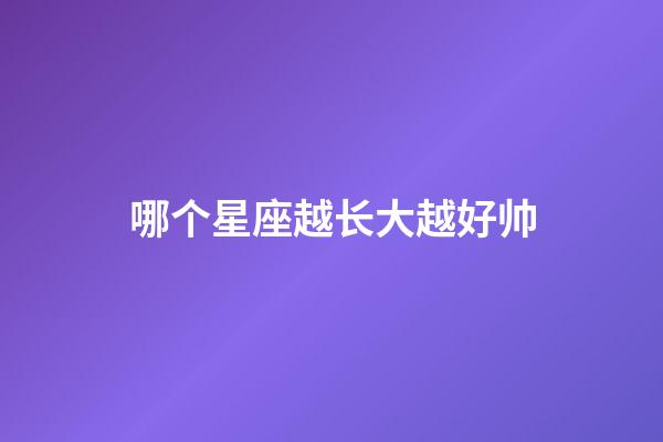 哪个星座越长大越好帅-第1张-星座运势-玄机派