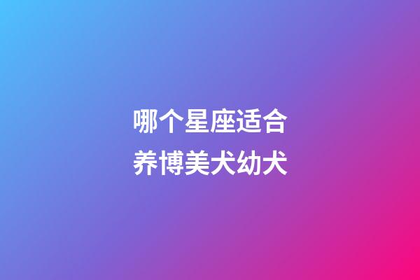 哪个星座适合养博美犬幼犬-第1张-星座运势-玄机派