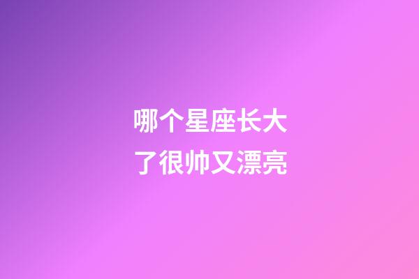 哪个星座长大了很帅又漂亮-第1张-星座运势-玄机派