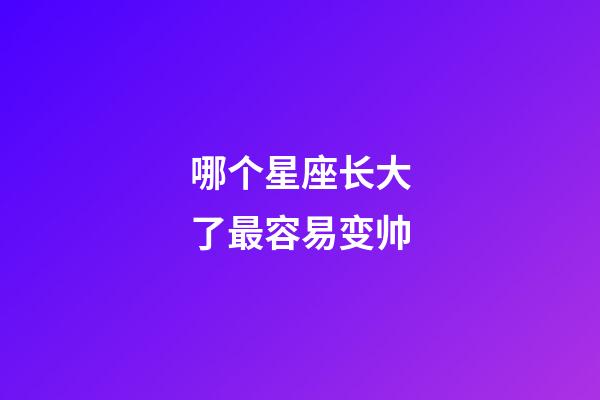 哪个星座长大了最容易变帅-第1张-星座运势-玄机派