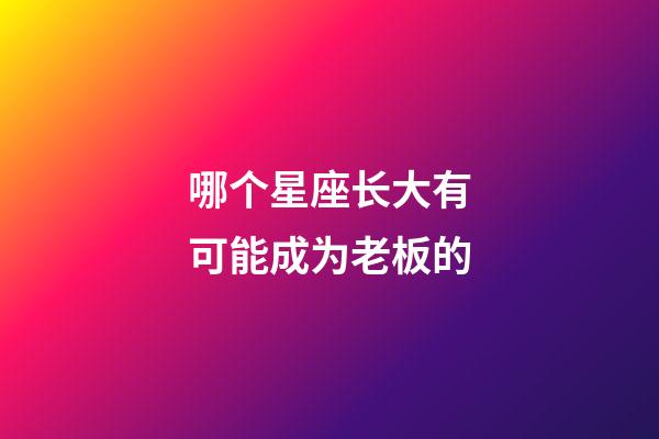 哪个星座长大有可能成为老板的-第1张-星座运势-玄机派