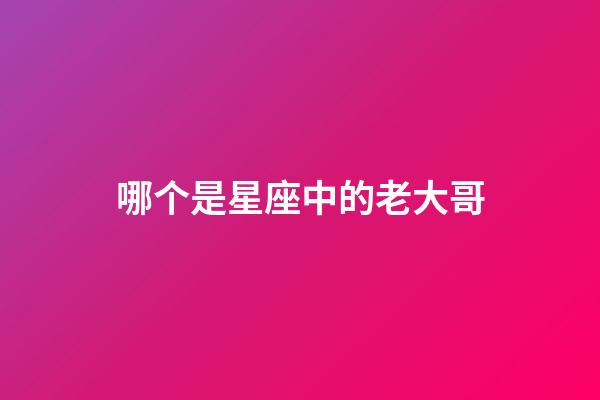 哪个是星座中的老大哥-第1张-星座运势-玄机派