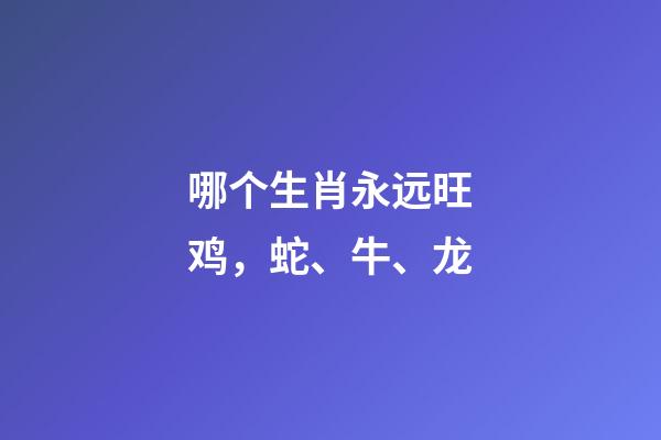 哪个生肖永远旺鸡，蛇、牛、龙
