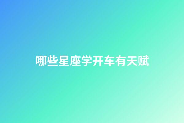 哪些星座学开车有天赋-第1张-星座运势-玄机派